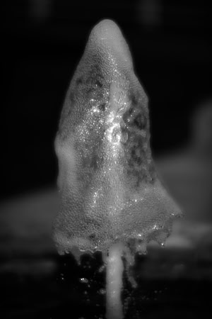 "water mushroom", "black & white", artistic, water, flow, Bertazzoni, Nikon, pool, bubbles,