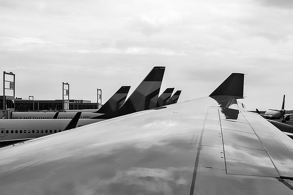 Wings