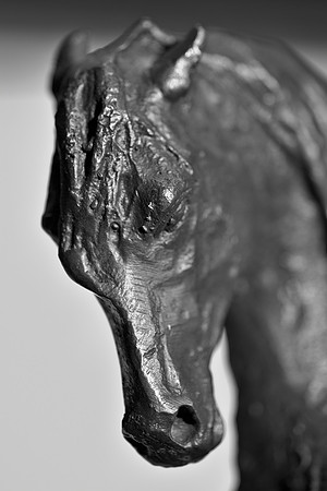 "black & white", bronze, desk, home, horse, "horse's statue", house, office, statue, table, trophy