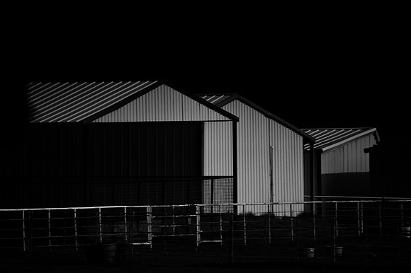 Barn, architecture, "black & White", cattle, fences, horses, ranch, shades, structure, sunlight