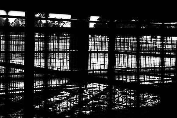 Bars, animals, architecture, "black & White", contrast, jail, shades, stalls, structure, bars