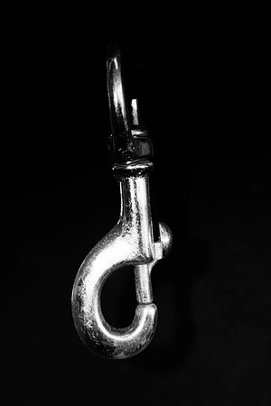 Carabiner, barn, "black & white", darkness, dog, highlights, horse, leash, rope