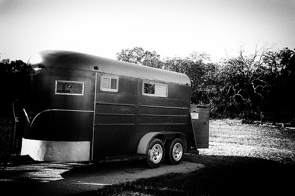 "black & white", horse, "horse trailer", paint, quarter, trailer, truck, west