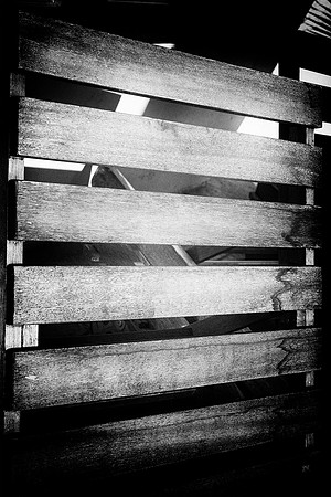 Cracks, "black & white", fence, garden, home, house, lights, shade, wood, yard