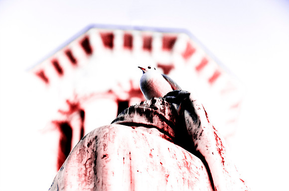 Dante, architecture, monument, pigeon, scenic, seagull, statue, thinking