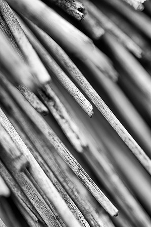 "black & white", chopsticks, wood