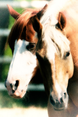 Double Portrait