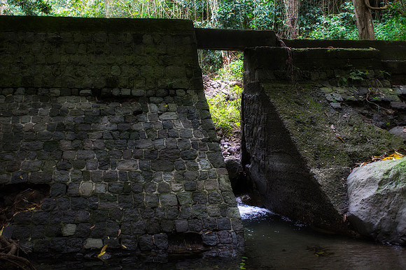 "old dam", dam, rainforest, forest, water, jungle, architecture, river