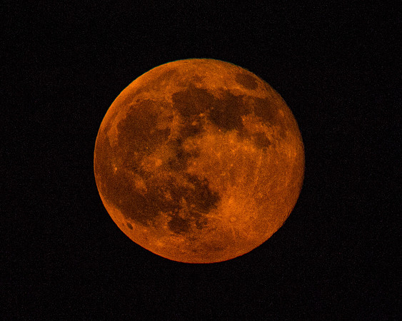 Bertazzoni, Nikon, "Sky scape", details, eclipse, moon, night, red, "red moon", satellite, stars