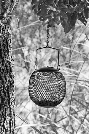 abstract, artistic, bertazzoni, "black & white", geometry, "bird feeder", Nikon, nature, object, yard, nature