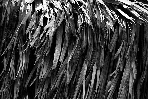 roof, leafs, hut, "black & white", village, artistic, scenic