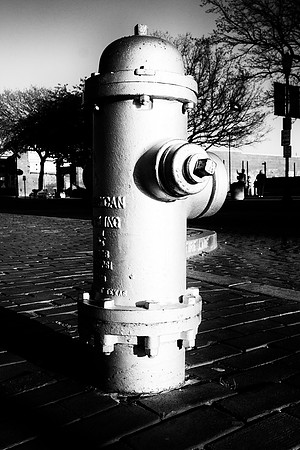 highlight, shade, artistic, "black & white", hydrant, "fire department",