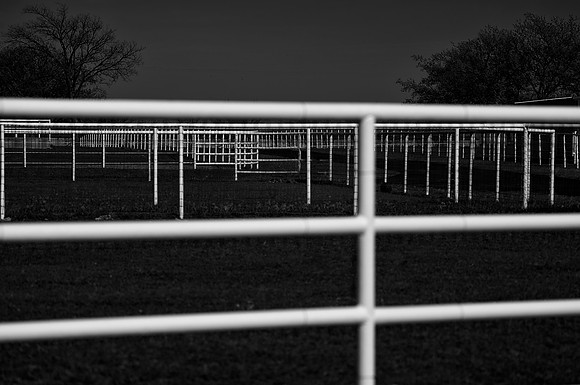fences, "black & white", lines, white, contrast, bertazzoni, artistic, yard, livestock, details,