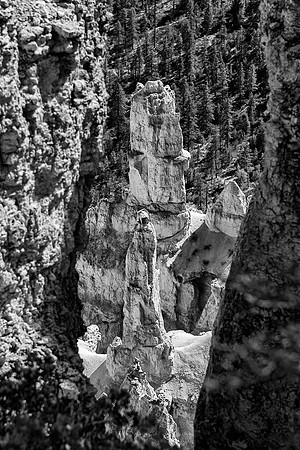 columns, "black & white", "marco bertazzoni", "Bryce Canyon", Utah, USA, parks, nature, scenic