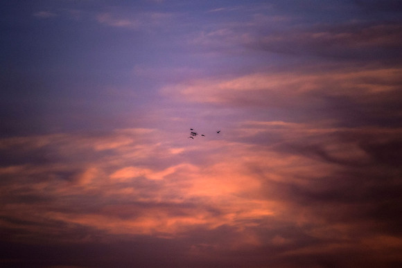 sky, dawn, sunrise, birds, landscape, scenic, bertazzoni, clouds, colors, artistic