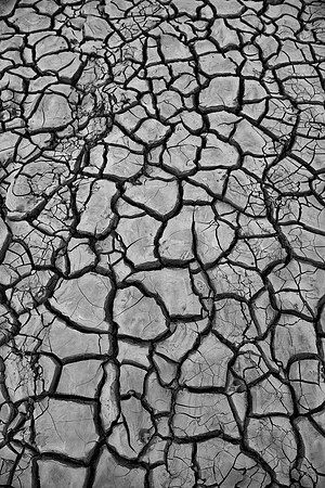 "dry mud", mud, Bertazzoni, lines, details, structure, Nikon, river, pond, sun , pond, "black & White", abstract, details