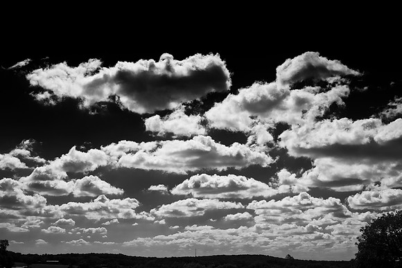 Bertazzoni, Nikon, clouds, colors, details, horses, nature, nature, scape, scenic, sky, sky, structure, "black & white"