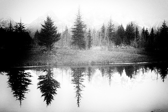 Bertazzoni, "Grand Teton National park", "Jackson Lake", Nikon, "Oxbow Bend", USA, Wyoming, bears, birds, bisons, clouds, colors, dawn, dusk, flowers, landscape, mirror, moon, nature, reflections, riv