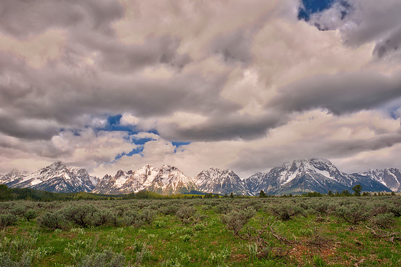 "Grand Teton National park", USA, Wyoming, nature, landscape, river, clouds, scenic, trees, flowers, wildlife, colors, moon, sun, reflections, mirror, sunrise, sunset, dusk, dawn, bears, bisons, birds