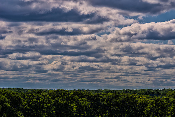 Bertazzoni, Nikon, "black & white", clouds, colors, details, horses, nature, nature, scape, scenic, sky, sky, structure