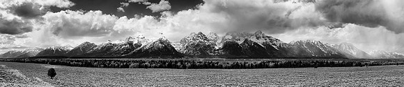 "Grand Teton National park", USA, Wyoming, nature, landscape, river, clouds, scenic, trees, flowers, wildlife, colors, moon, sun, reflections, mirror, sunrise, sunset, dusk, dawn, bears, bisons, birds