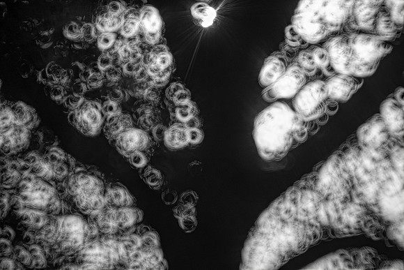 circles, "black & White", artistic, abstract, "mirror lens", tree, reflections, Nikon, Bertazzoni,