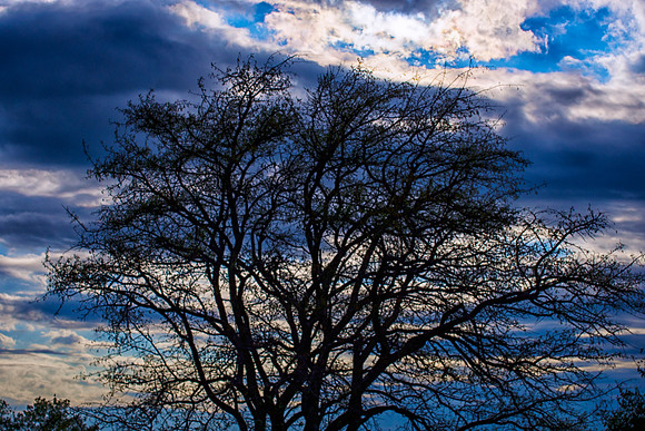Bertazzoni, "Blue sky", Nikon, cloud, details, fear, flying, rain, sky, storm, structure, sunlight, twister, darkness, storm, scenic