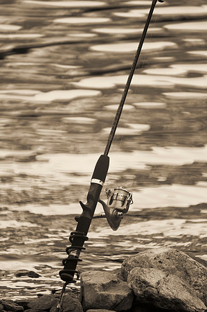 Fishing Pole