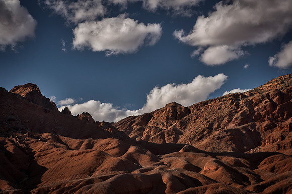 Bertazzoni, Nikon, "black & white", clouds, colors, details, horses, nature, nature, scape, scenic, sky, sky, structure