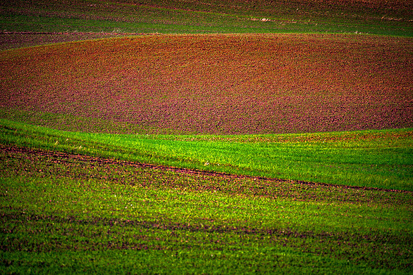 Bertazzoni, "Black & White', humps", Idaho, Nikon, Palouse, Steptoe, "Steptoe Butte", USA, Washington, "Washington State", barns, buildings, clouds, colors, crops, dunes, farms, fields, geometry, "har