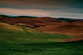 Palouse