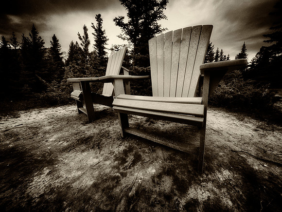 Bench