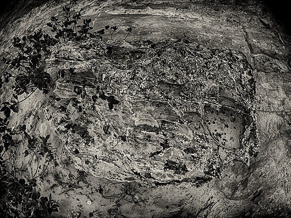 Natural Textures