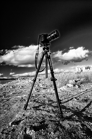 Camera & Tripod