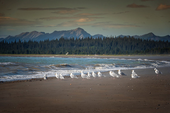 Lake Clark NP - Alaska