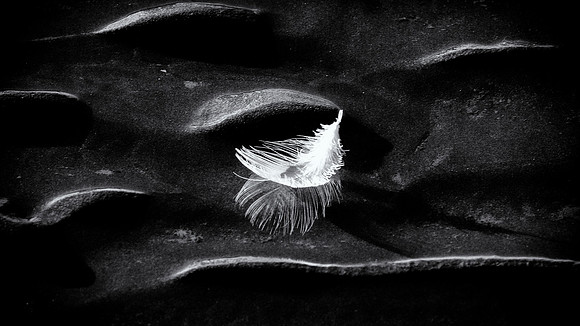Feather