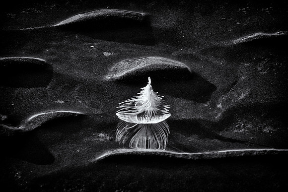 Feather