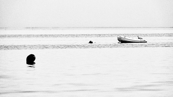 Buoy