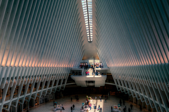 The Oculus