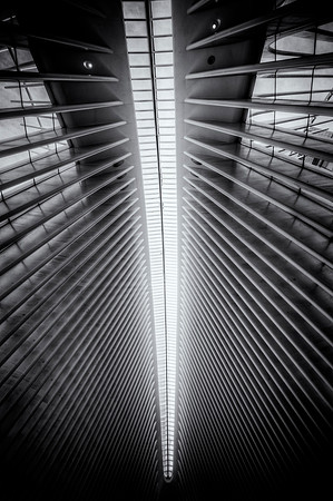 The Oculus