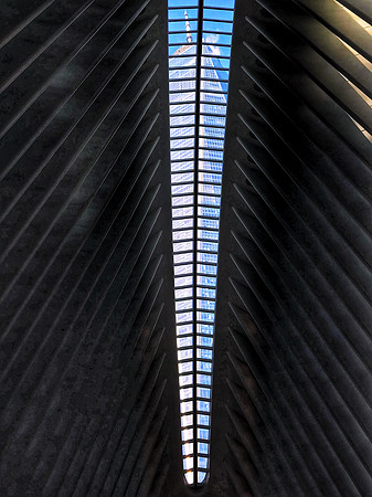 The Oculus
