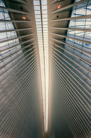 The Oculus