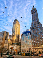 Early Morning in Central Park