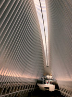 The Oculus