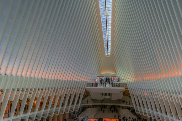 The Oculus