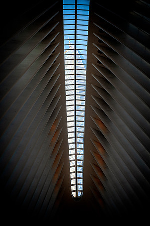 The Oculus