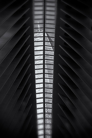 The Oculus
