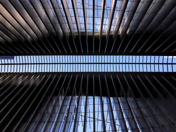 The Oculus