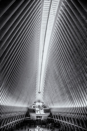 The Oculus