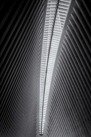 The Oculus